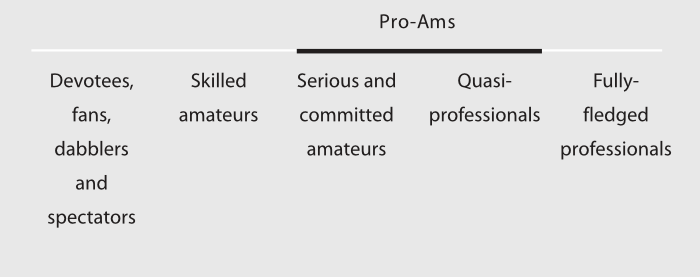File:Pro-am categorisation graphic.png
