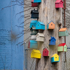 File:Birdhouses.jpg