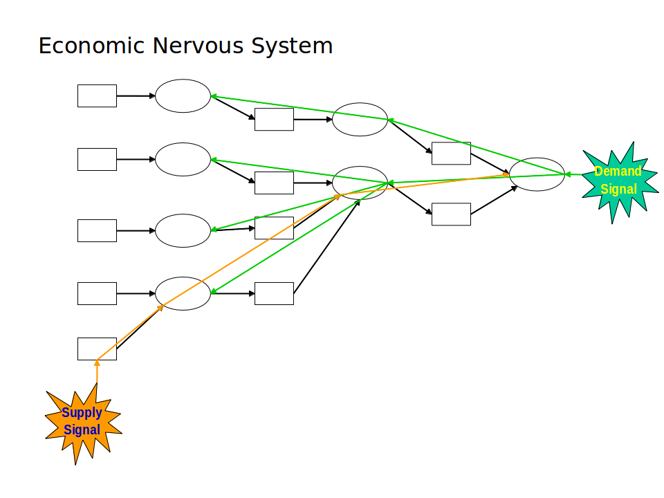 Economic Nervous System