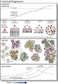 Historical Progression of Complexity and Hierarchy